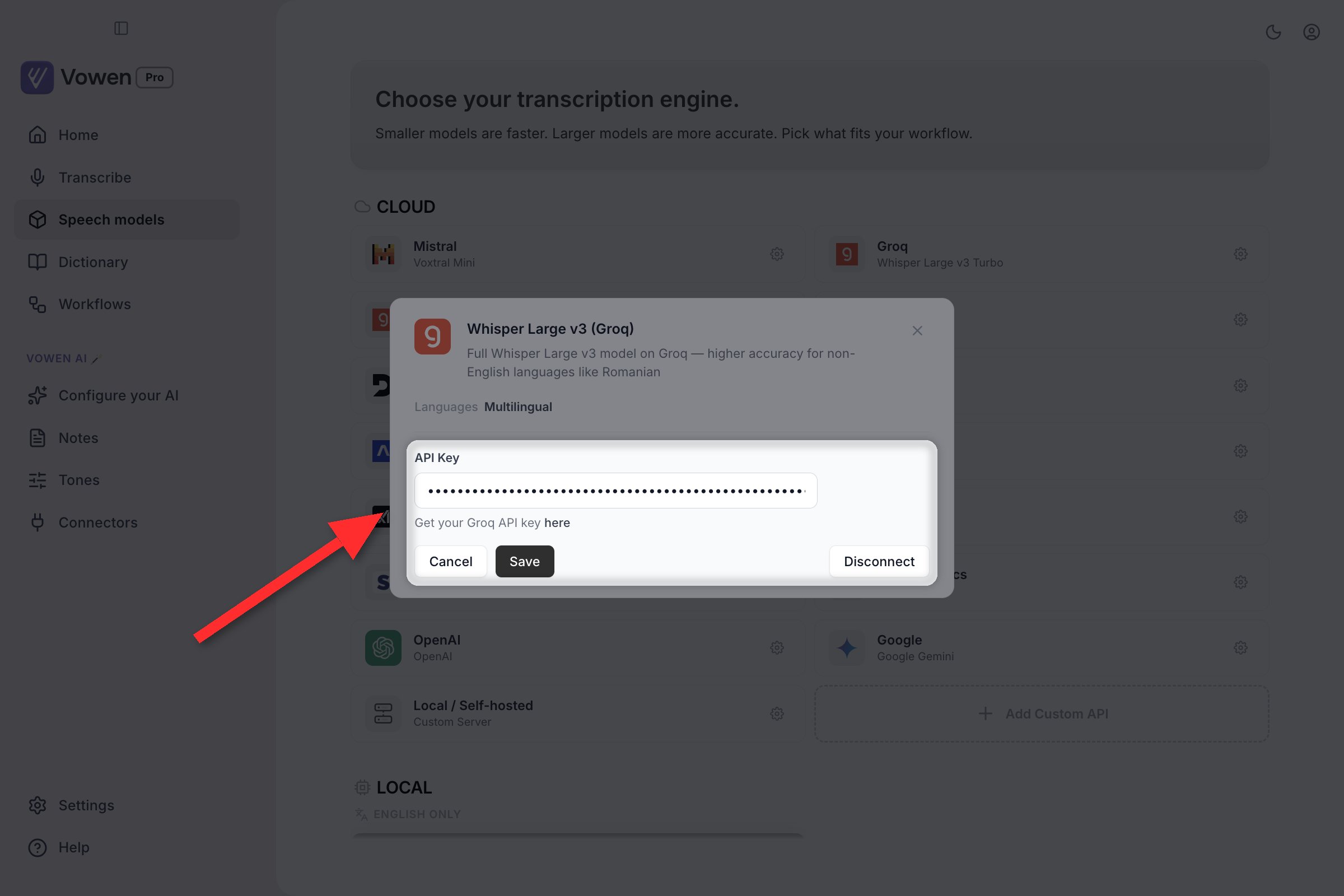 The Speech models page with a provider's configuration panel open inline, showing an API Key field with Cancel, Save and Disconnect buttons
