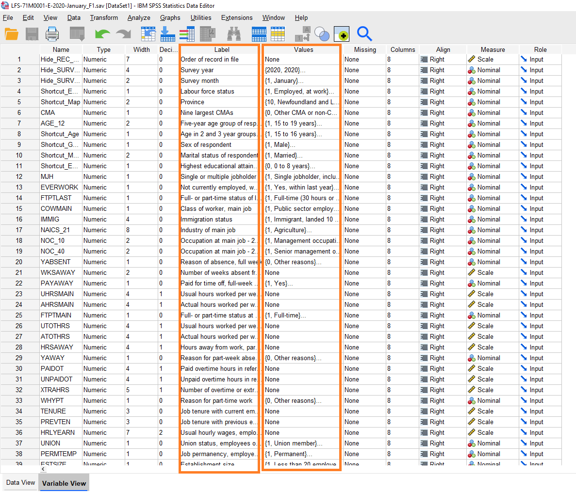 spss file overview