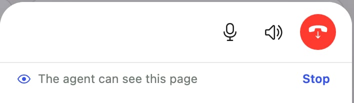 Call window header showing the text The agent can see this page with a Stop link