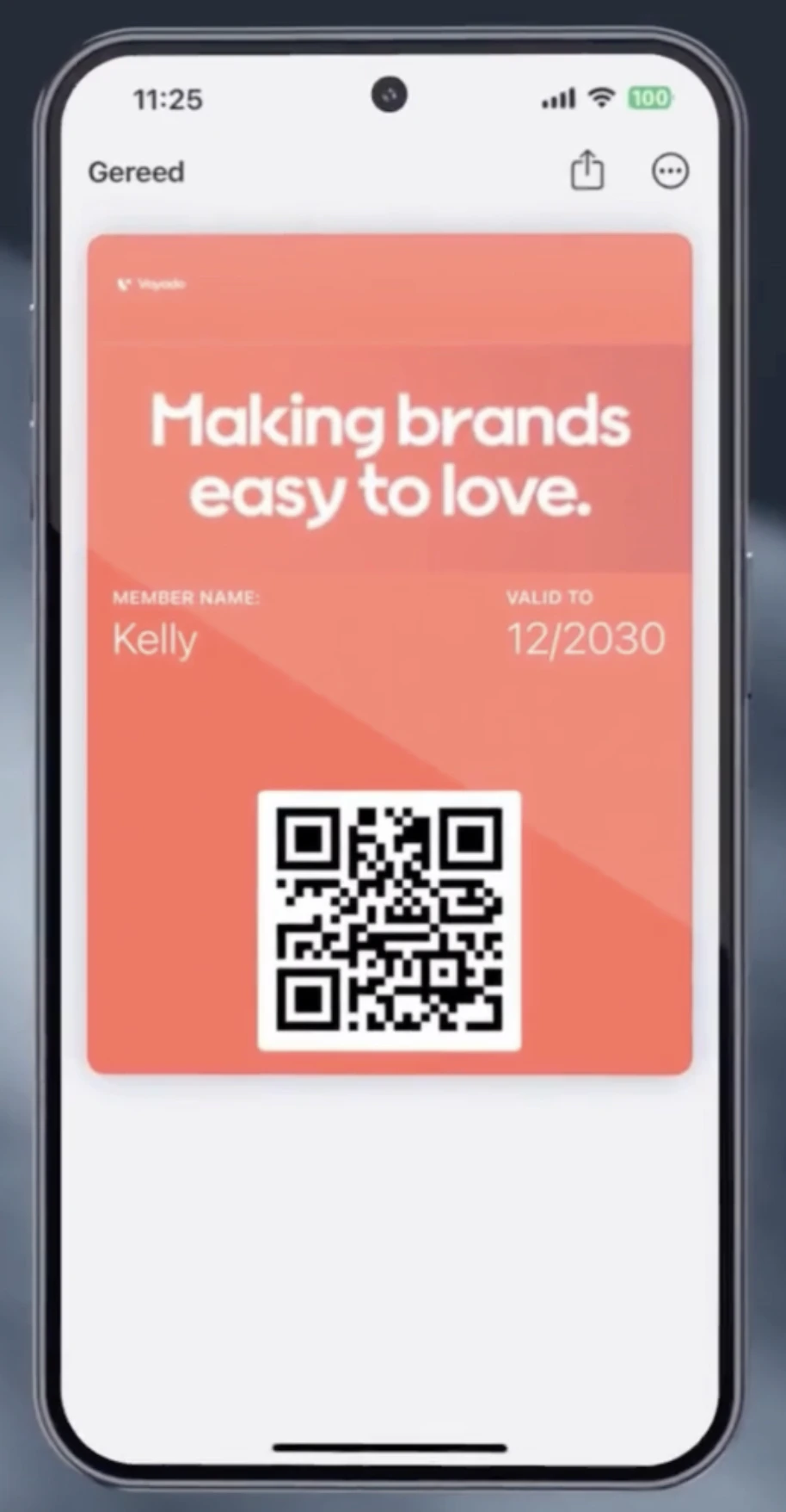 The Loyyo digital wallet