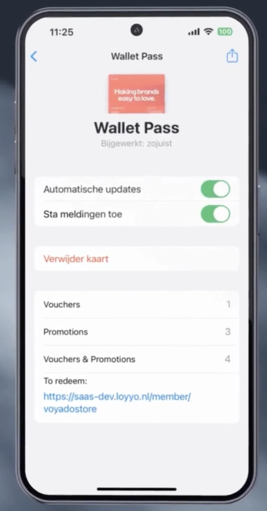 The Loyyo digital wallet