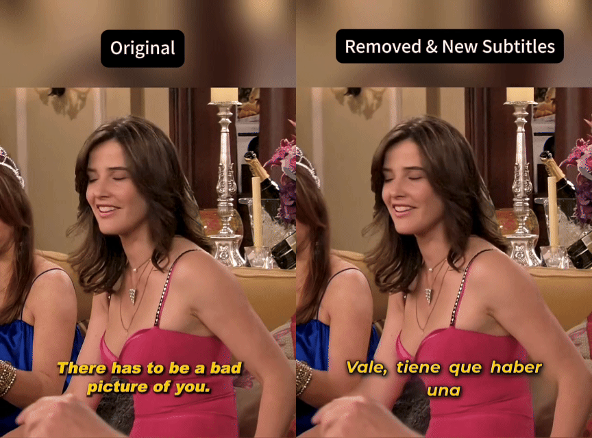 Subtitles Remove Demo