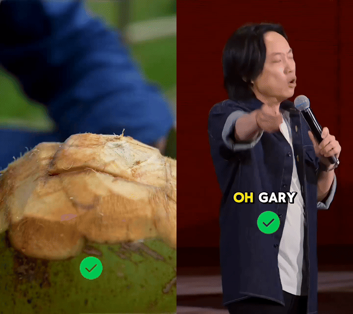 Subtitle Remove Good Videos Subtitle Remove Good Videos