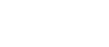 light logo