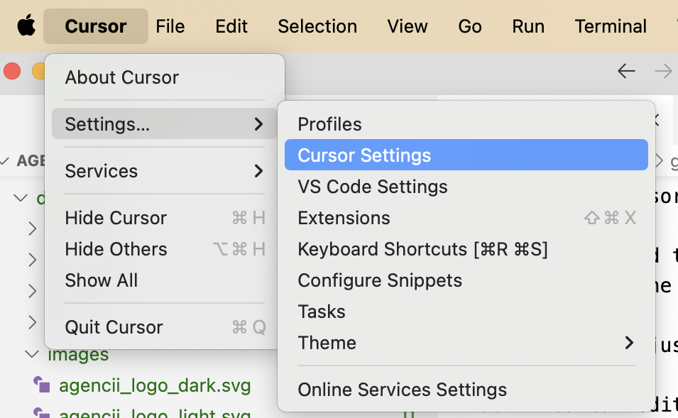 Open Cursor Settings