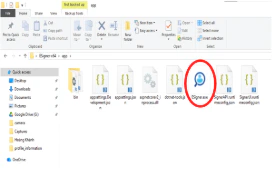 File ESigner.exe trong thư mục app