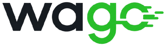 light logo