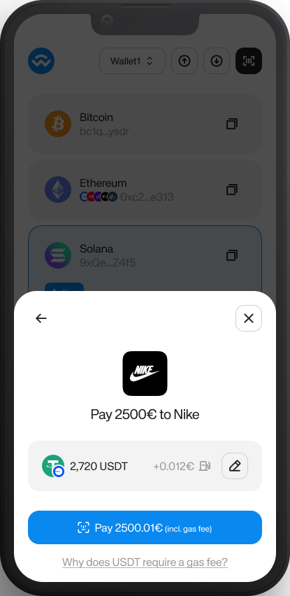 Wallet payment screen showing the merchant logo above the amount and the selected payment method