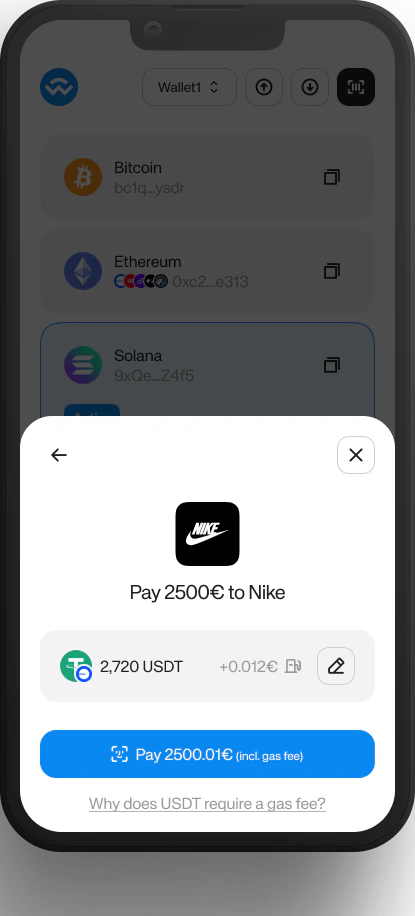 Wallet payment screen showing the merchant logo above the amount and the selected payment method