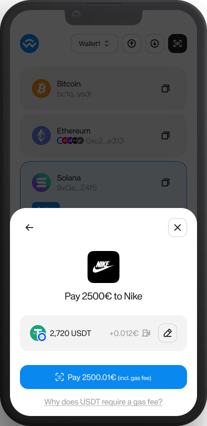 Wallet payment screen showing the merchant logo above the amount and the selected payment method