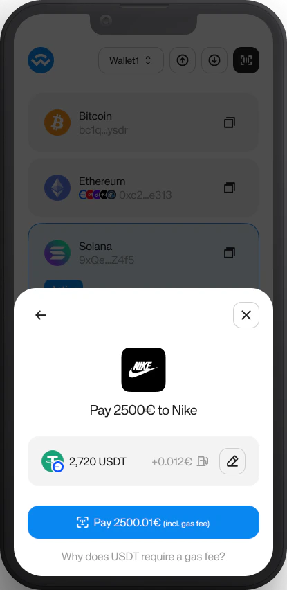 Wallet payment screen showing the merchant logo above the amount and the selected payment method