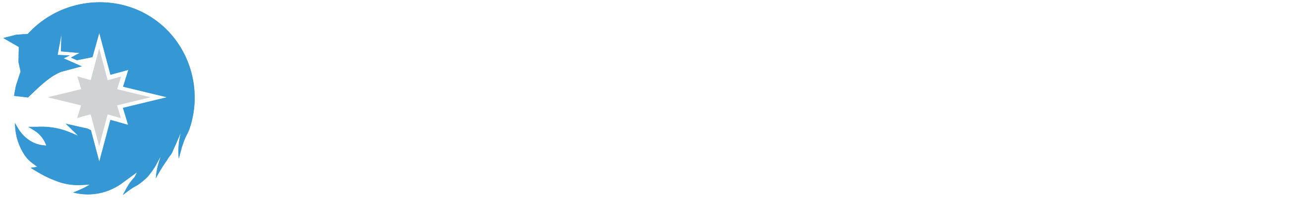 light logo