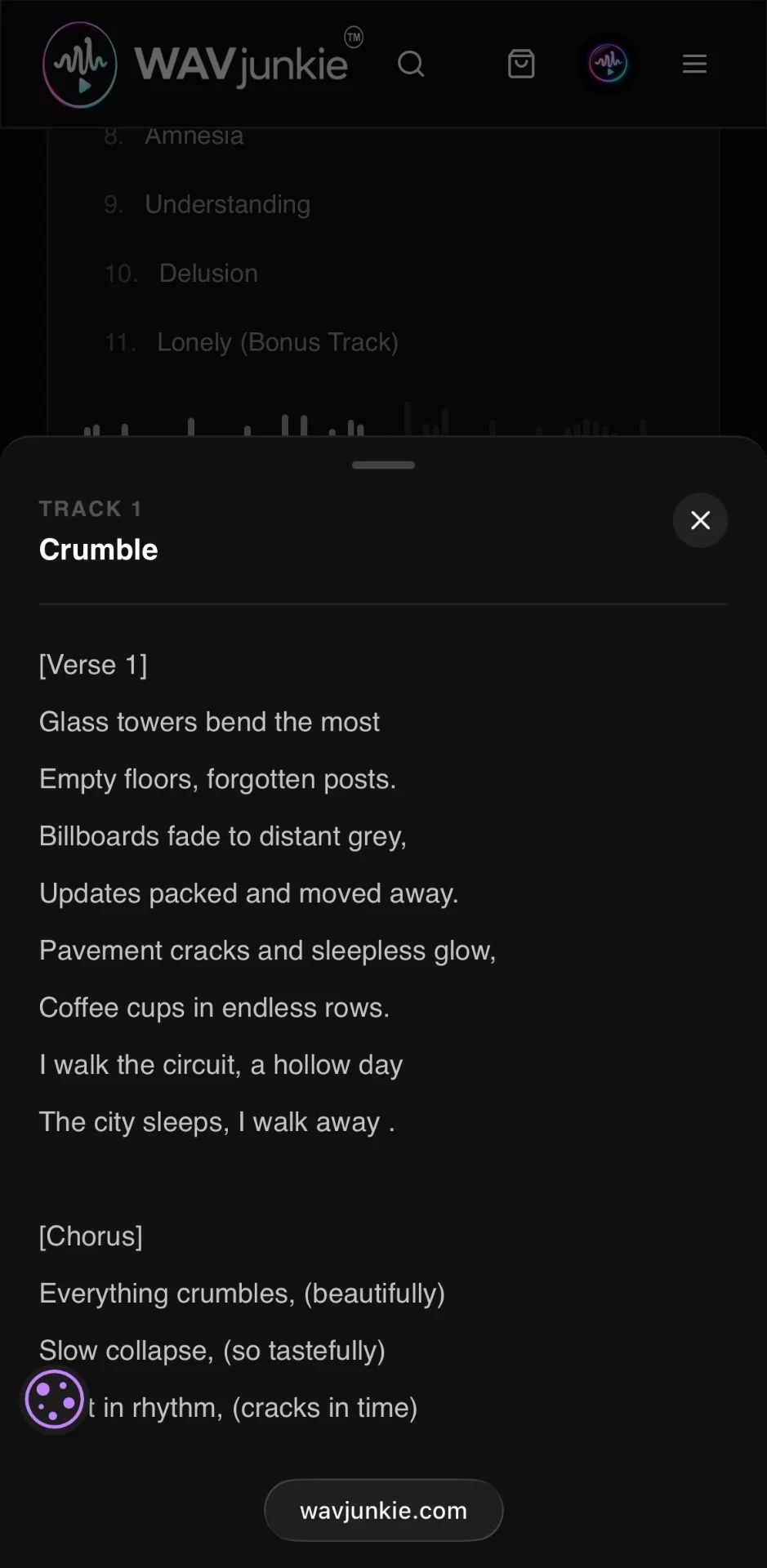 Lyrics displayed in a bottom sheet on mobile, showing verse and chorus formatting for the track Crumble