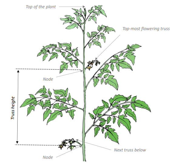 Crop Registration Truss Height
