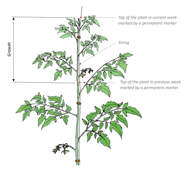 Crop Registration Growth