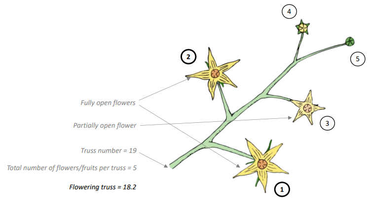 Crop Registration Flowering Truss