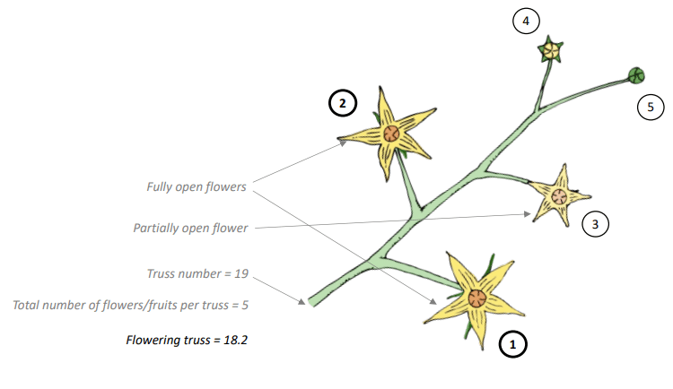 Crop Registration Flowering Truss