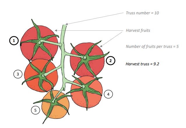 Crop Registration Harvest Truss