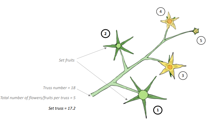 Crop Registration Set Truss