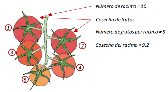 Farm Road Crop Registration Harvest Truss Measurement ES