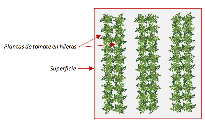 Farm Road Crop Registration Head Density Measurement ES