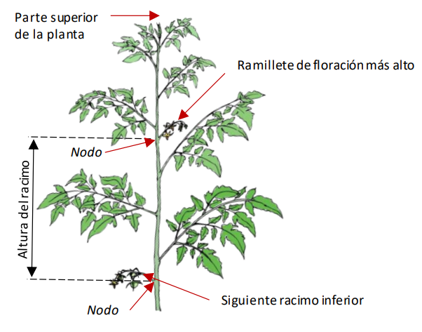 Farm Road Crop Registration Truss Height Measurement ES