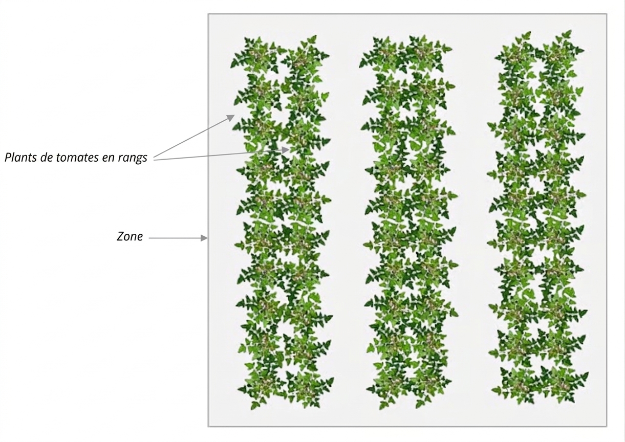 Farm Road Crop Registration Head Density Measurement FR