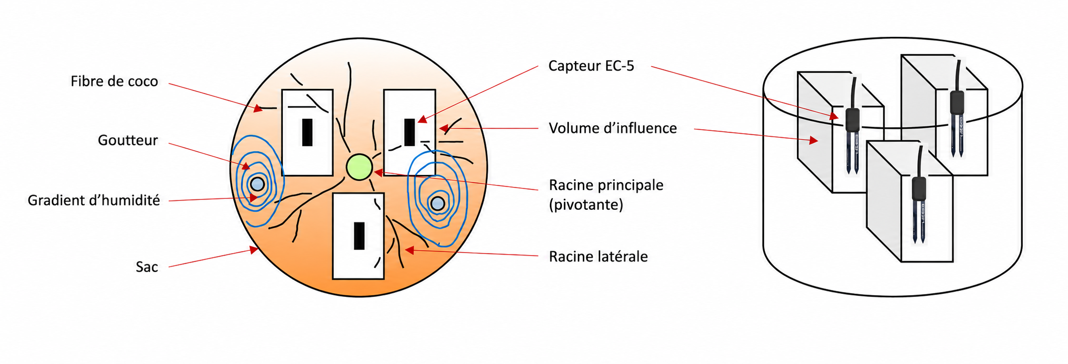 Figure 4 Non Overlapping Volumes Of Influence For Placing More Than One Sensor In The Same Pot FR