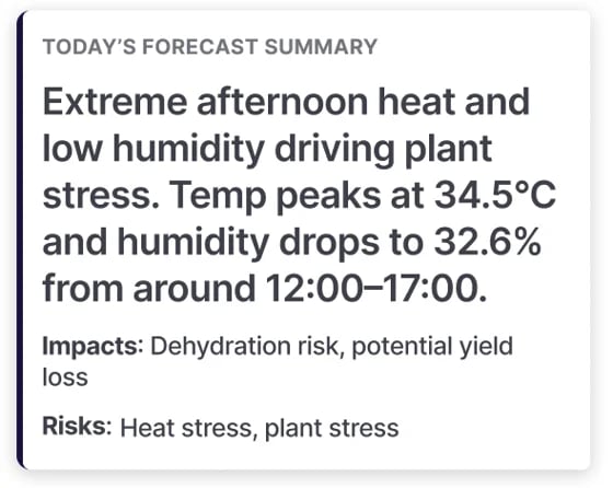 Daily Headline Summary 1 1 Daily Headline Summary 1 1