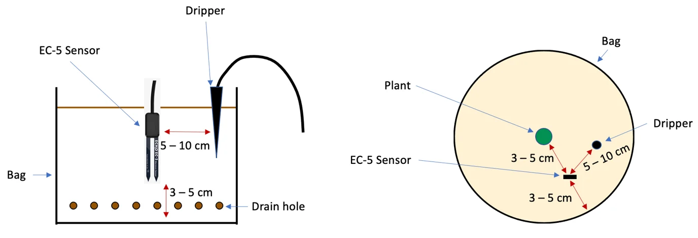 Figure 3 Folium Substrate Moisture Sensor Placement In Substratesoil (preliminary Field Tests)