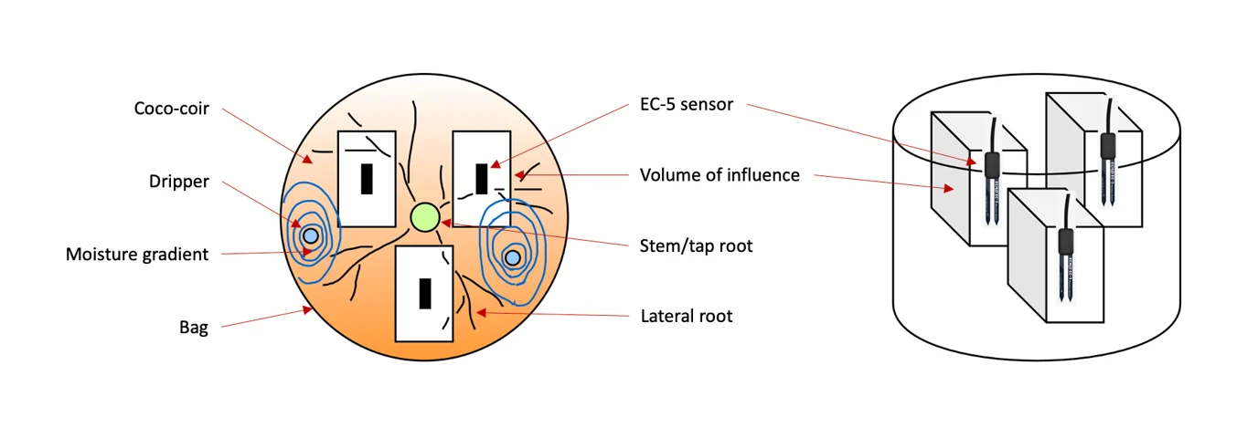 Figure 4 Non Overlapping Volumes Of Influence For Placing More Than One Sensor In The Same Pot