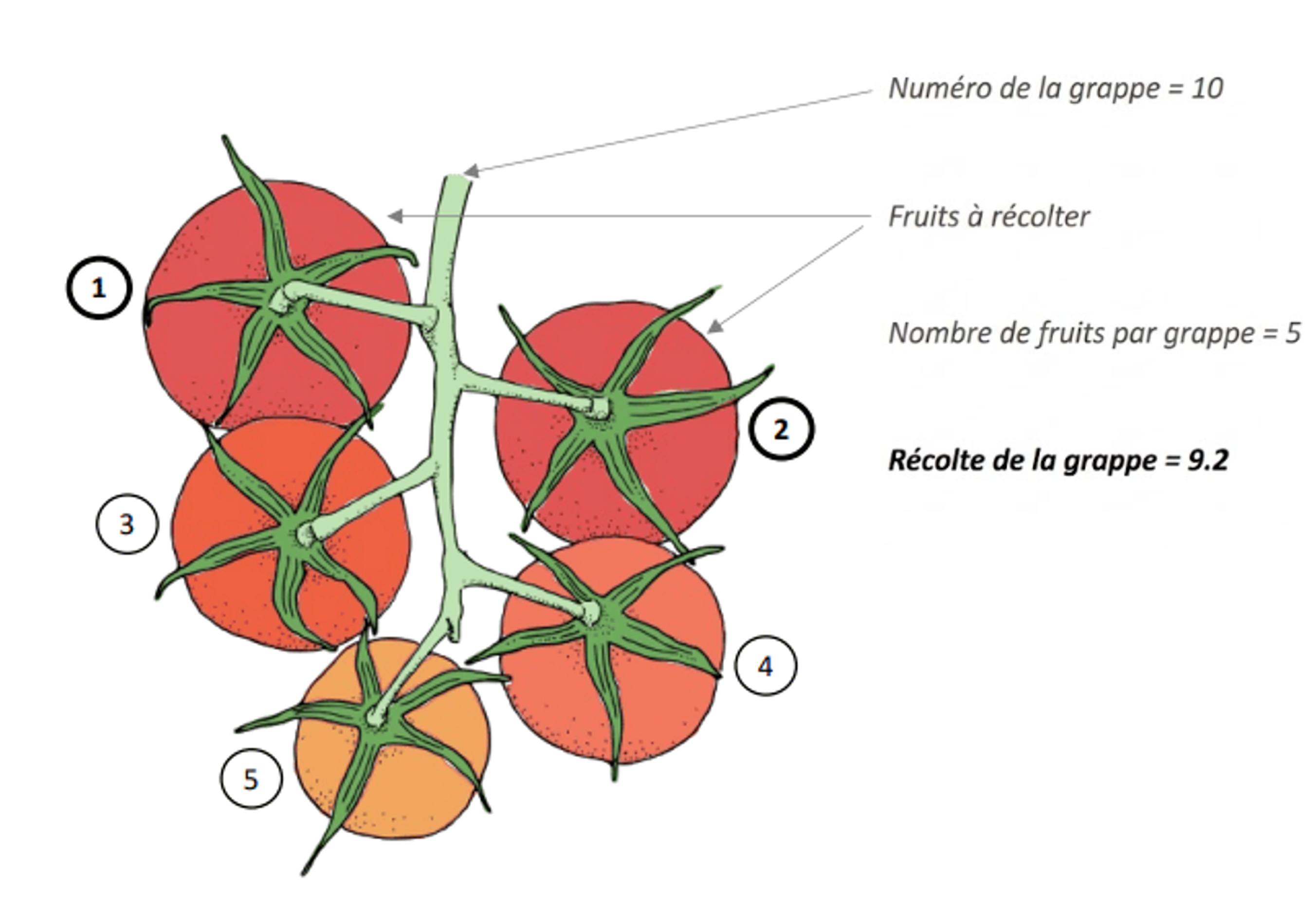 Farm Road Crop Registration Harvest Truss Measurement FR