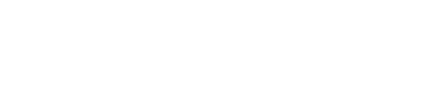 light logo
