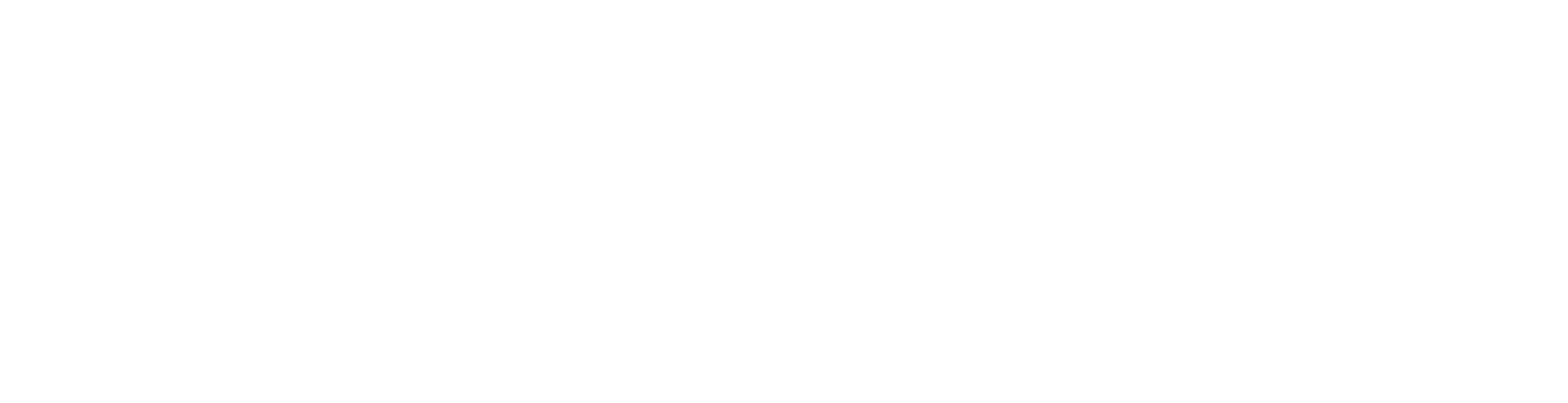 dark logo