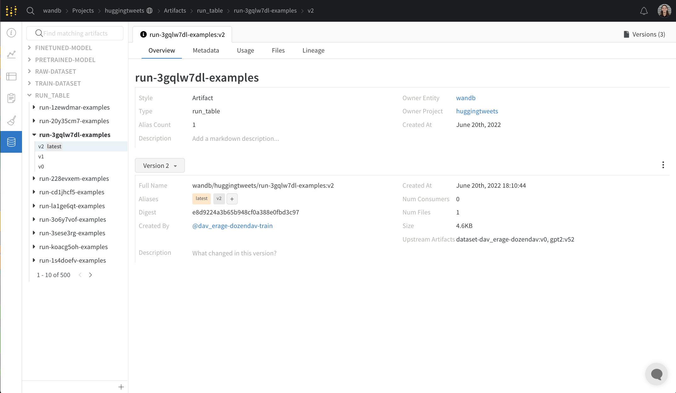 Artifact overview panel
