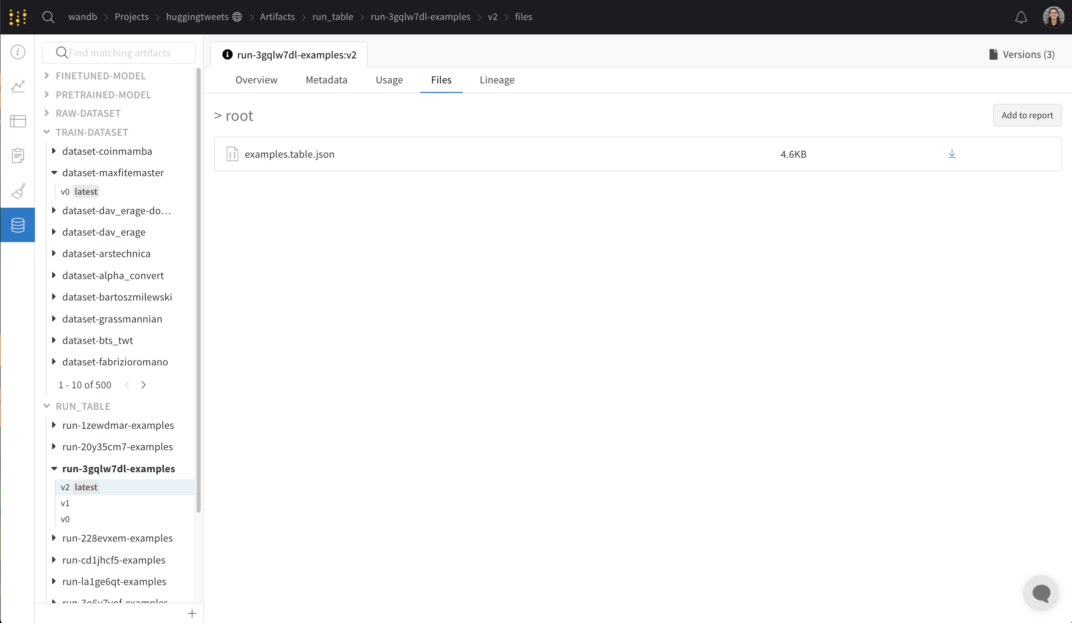 Artifact files panel