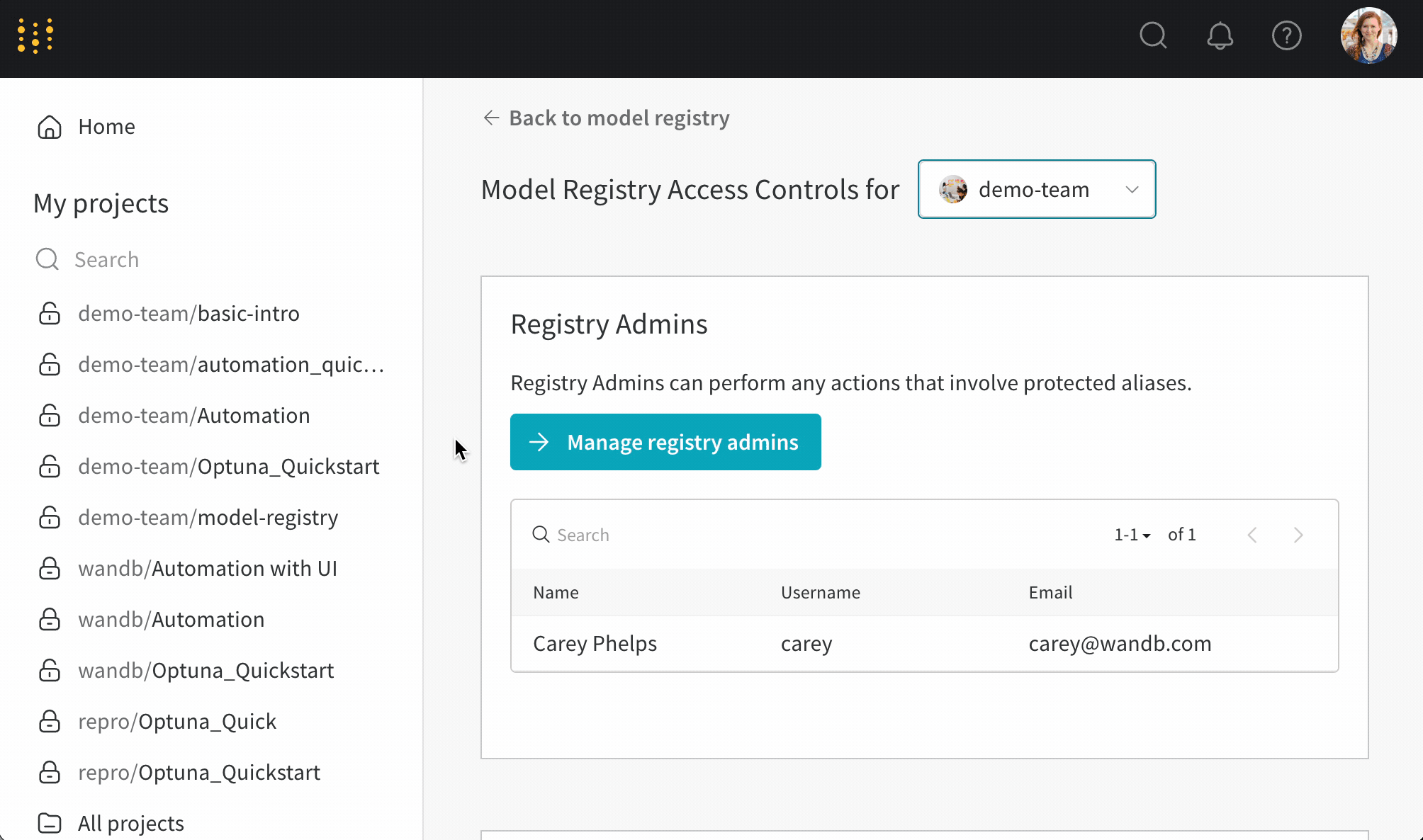 Managing registry admins
