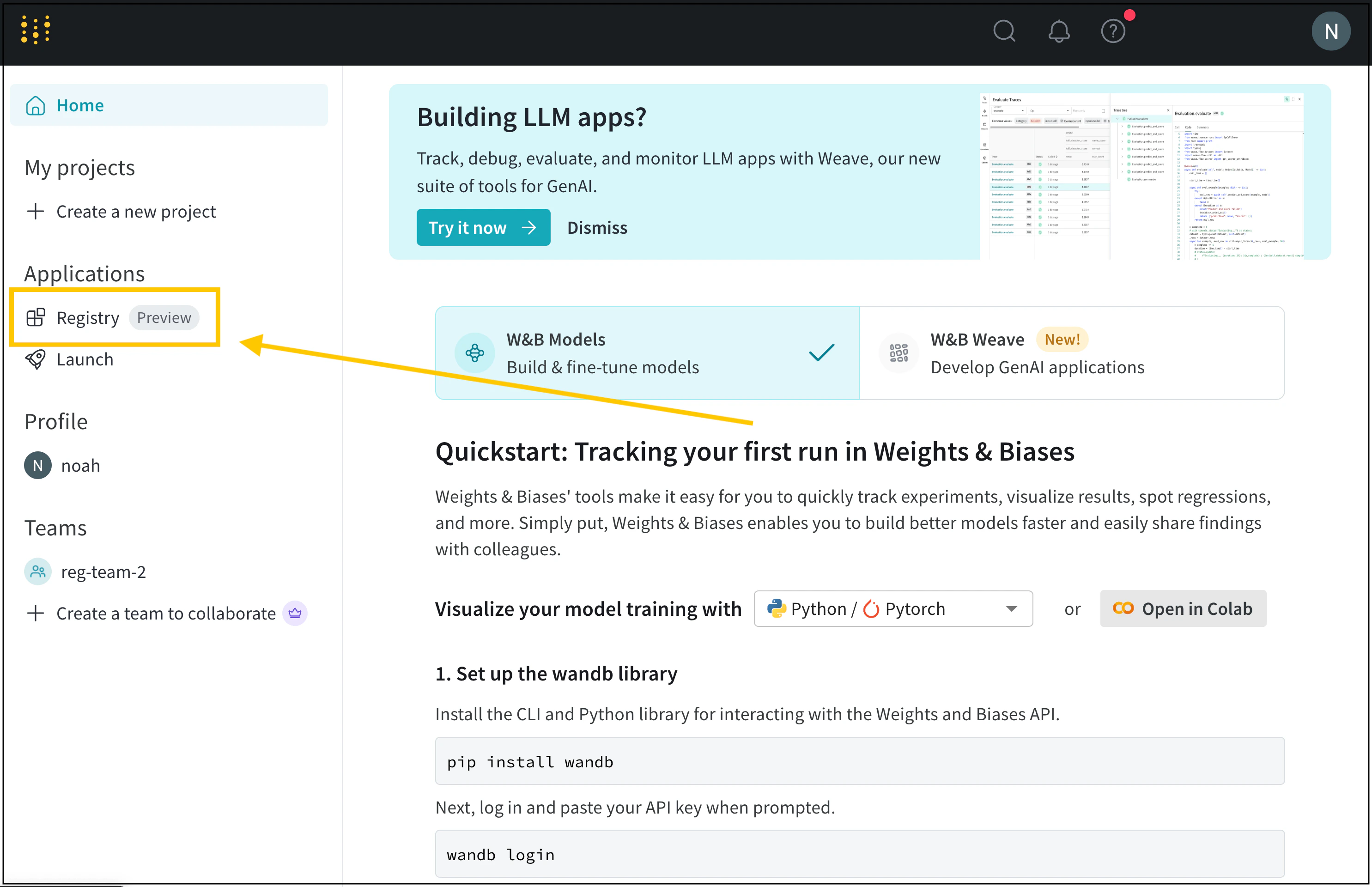 W&B Registry UI with project sidebar