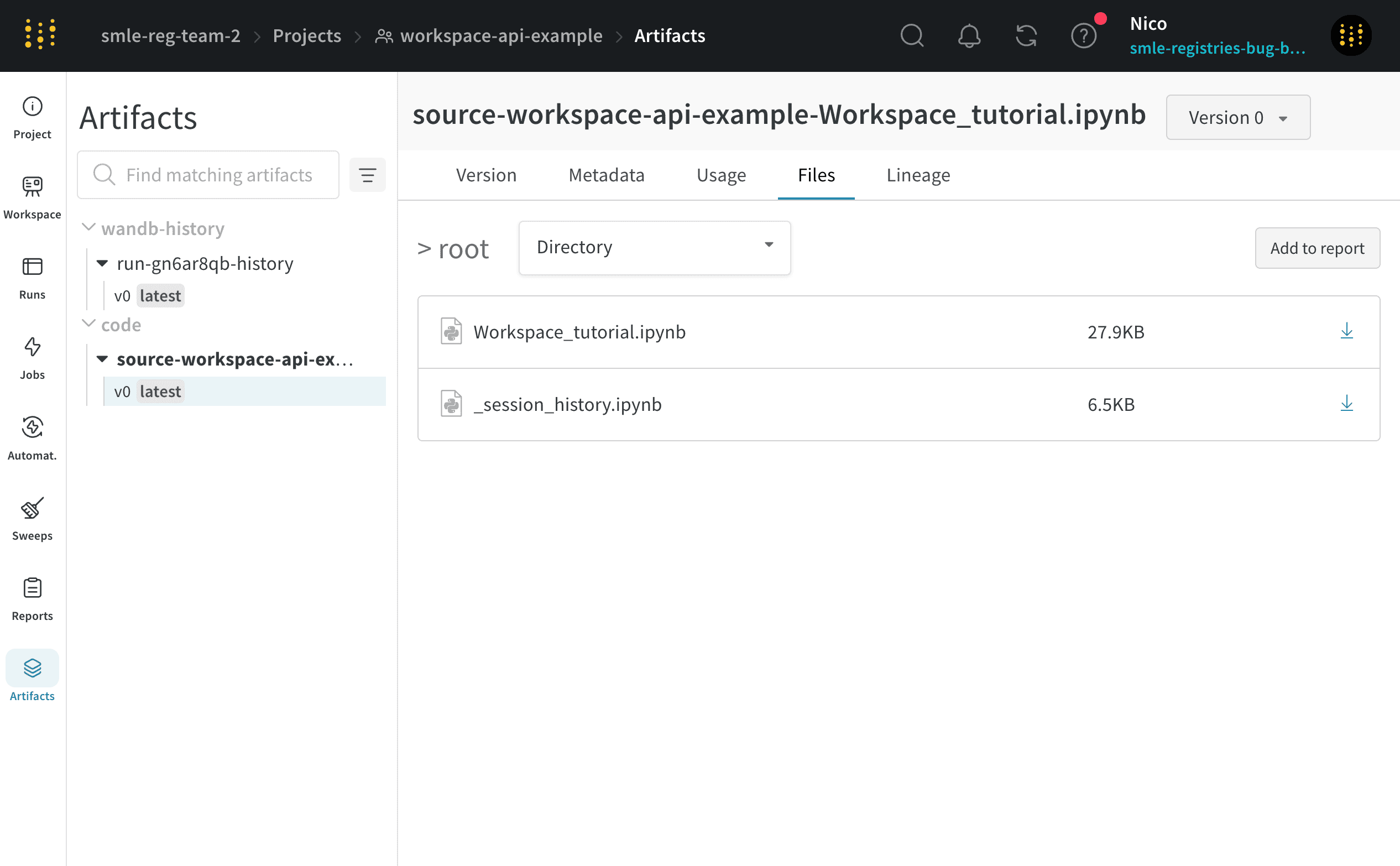 Artifact files panel
