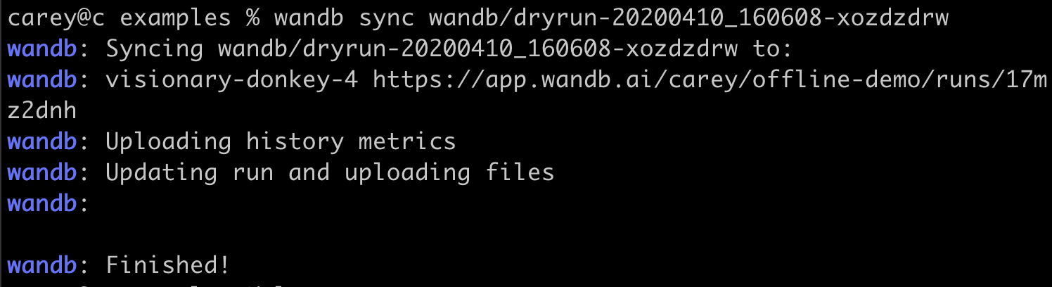 Cloud sync terminal output