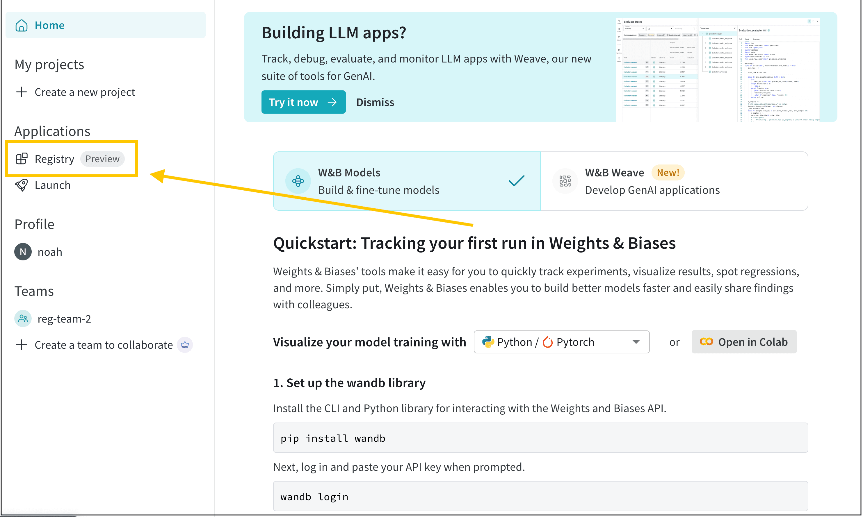 W&B Registry UI with project sidebar