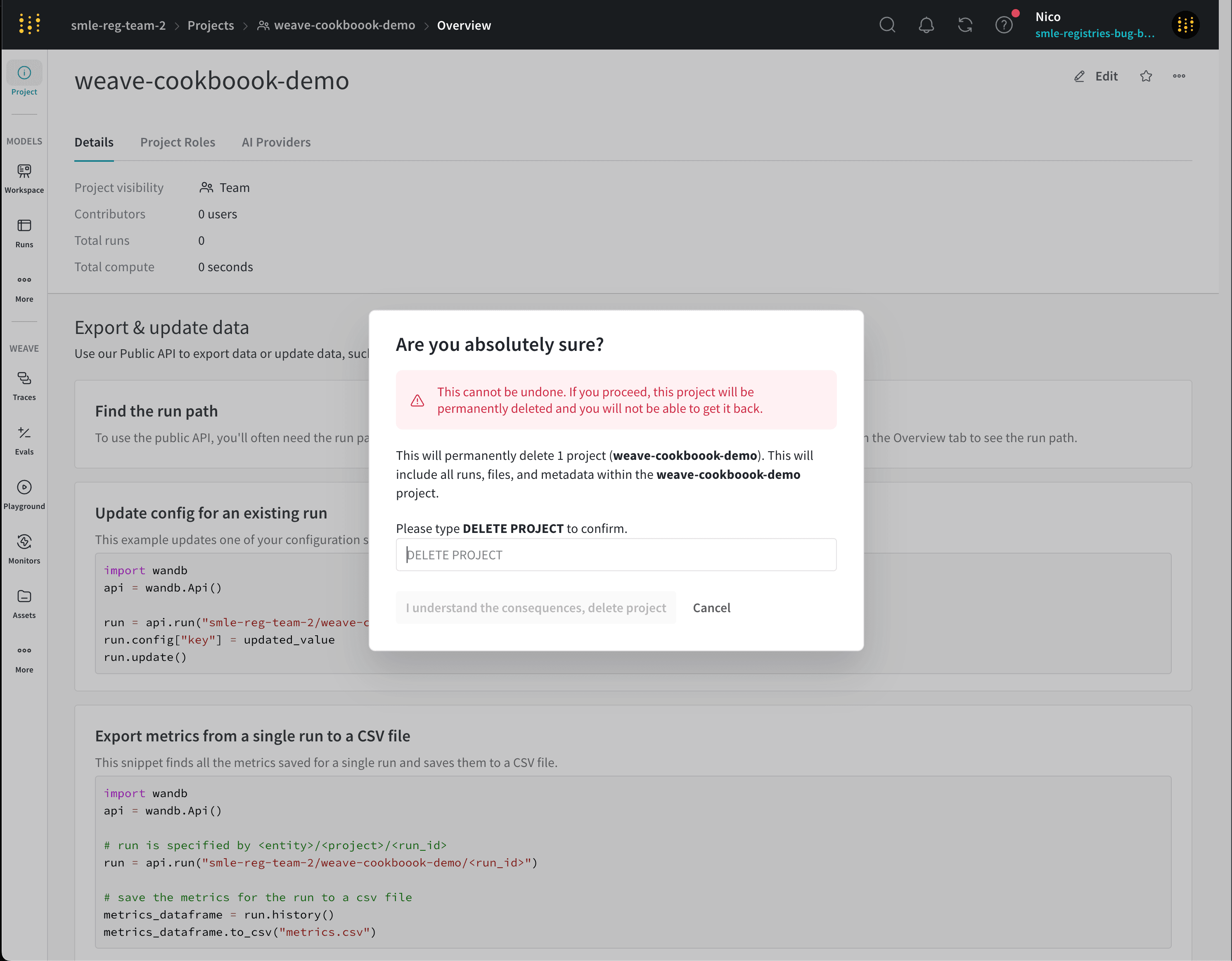 Project overview menu with delete project option in the dropdown