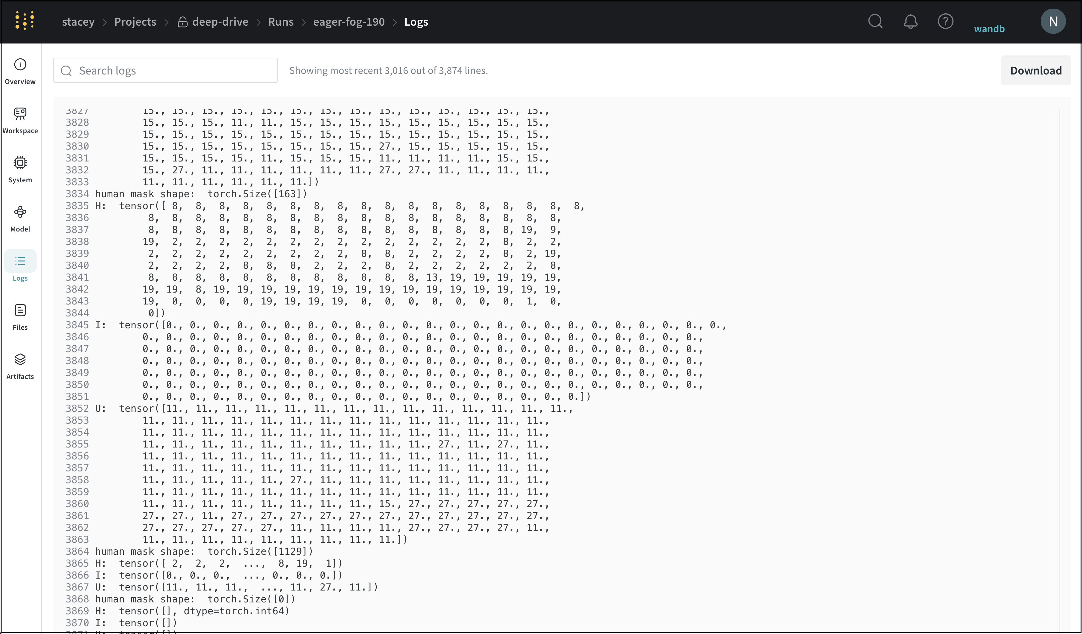 Run logs tab