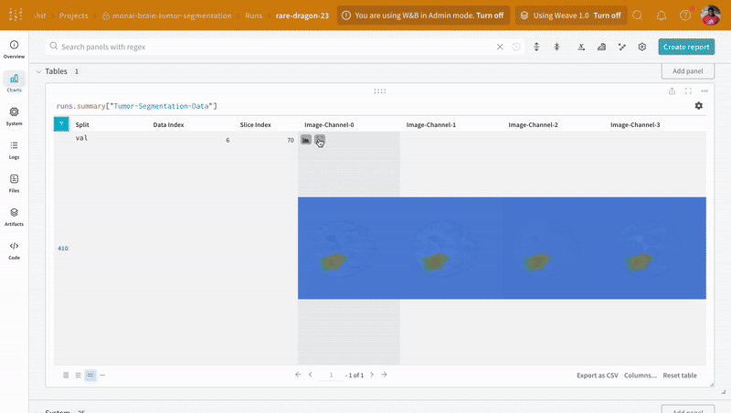 Segmentation maps