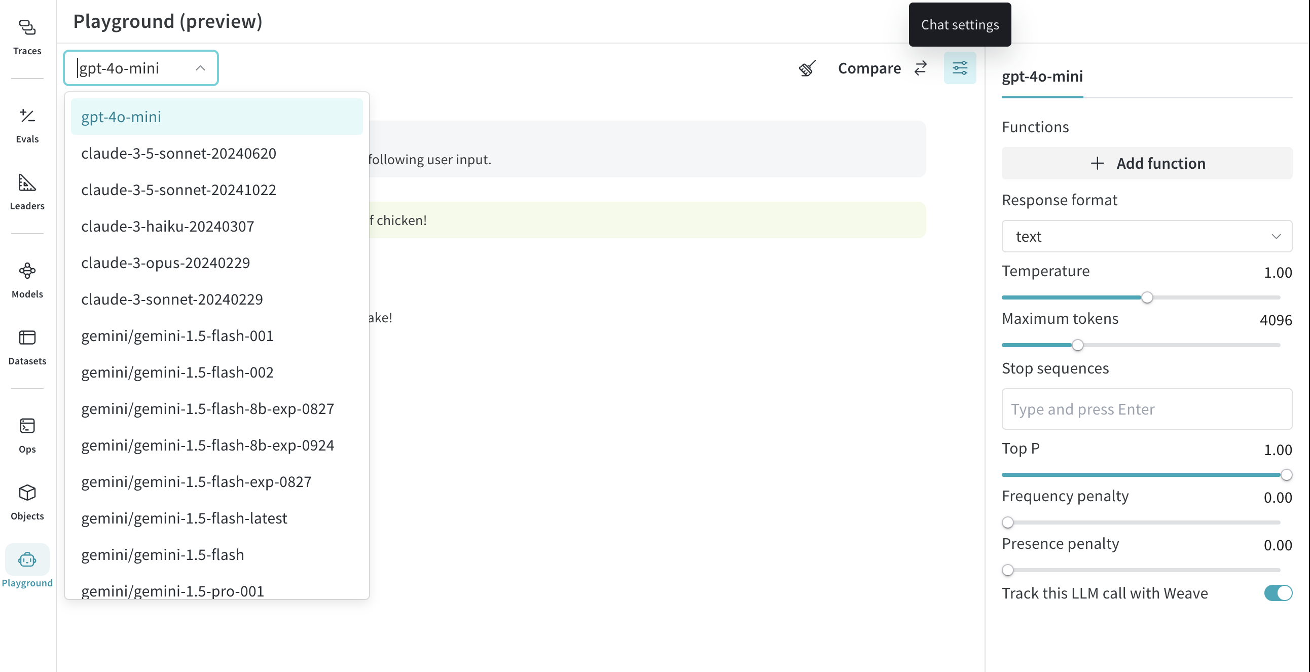 Screenshot of Playground settings