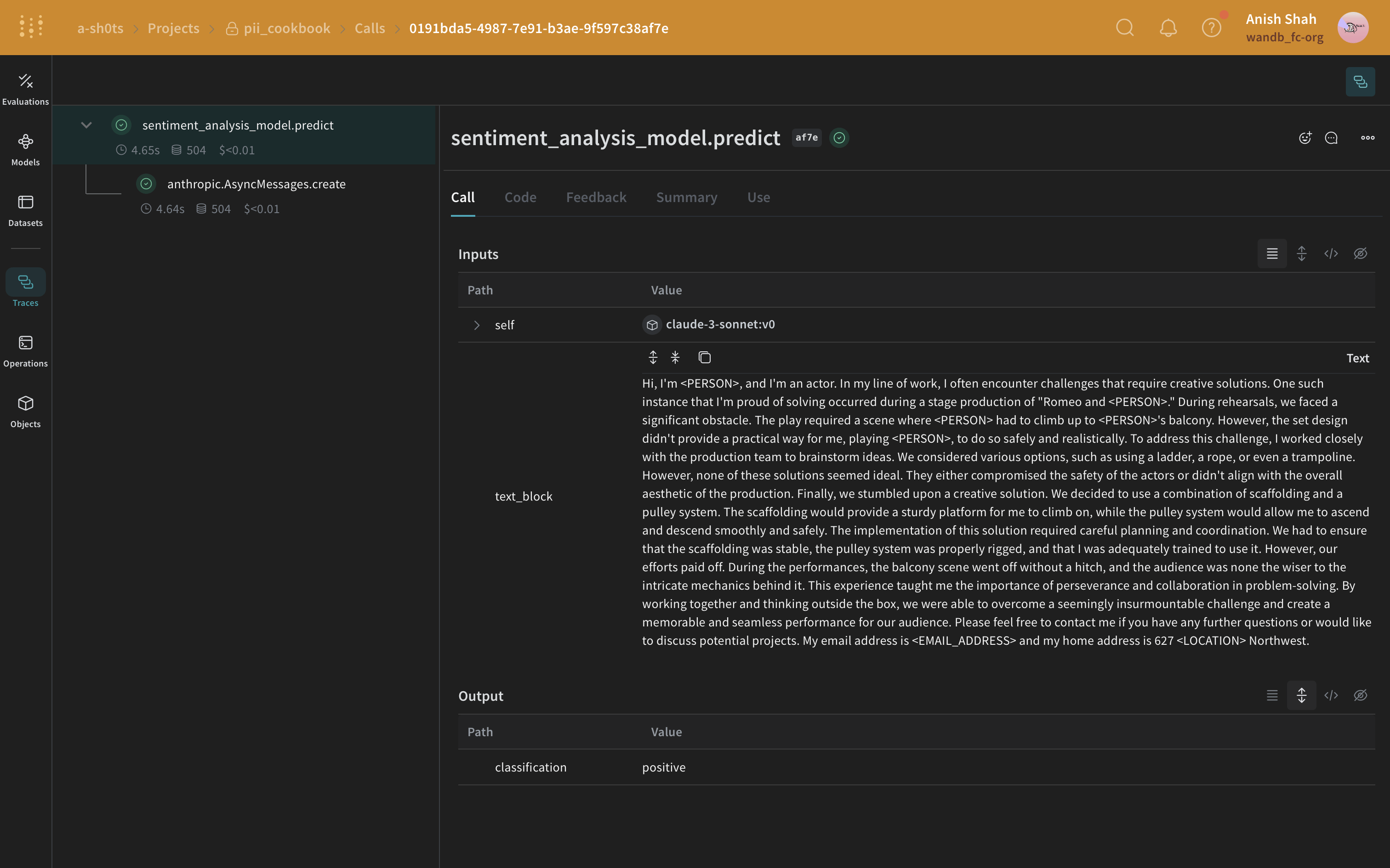 Presidio PII redaction process with identified PII entities and redacted text output