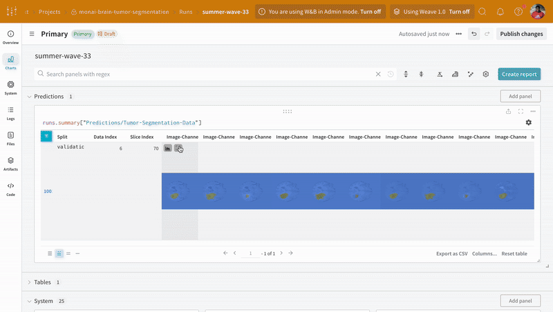 Predictions and ground-truth