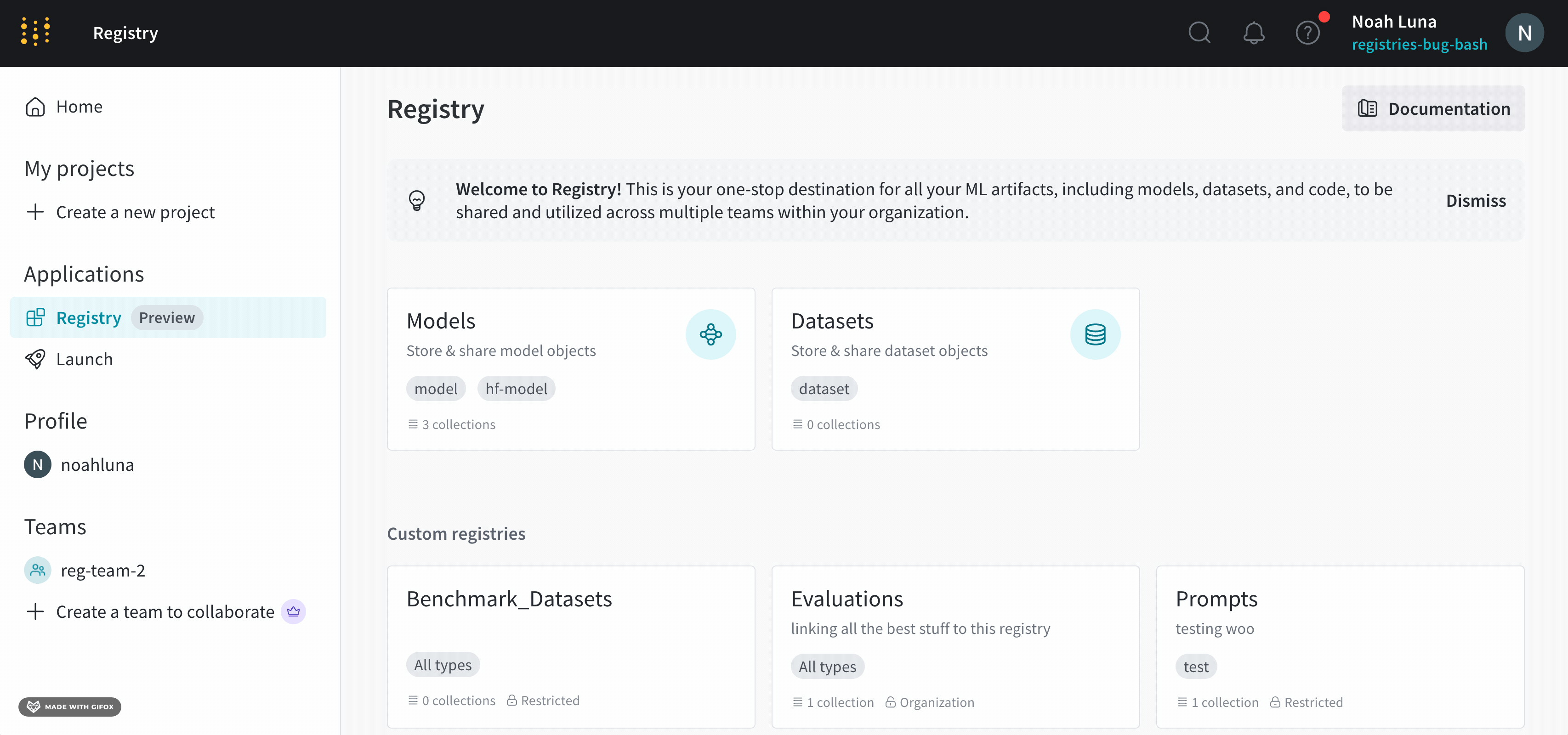 Legacy Model Registry UI