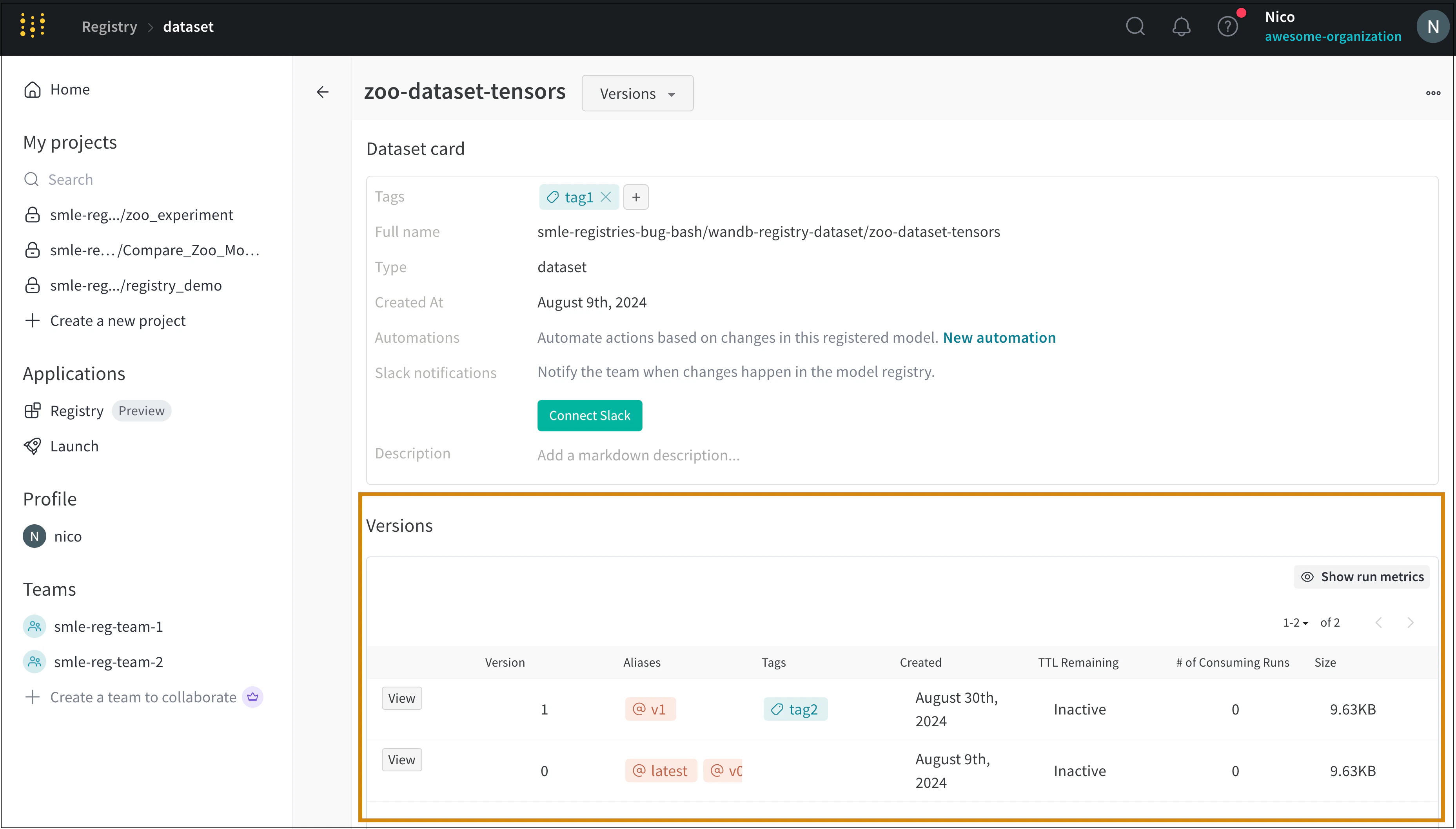 Artifact version with tags