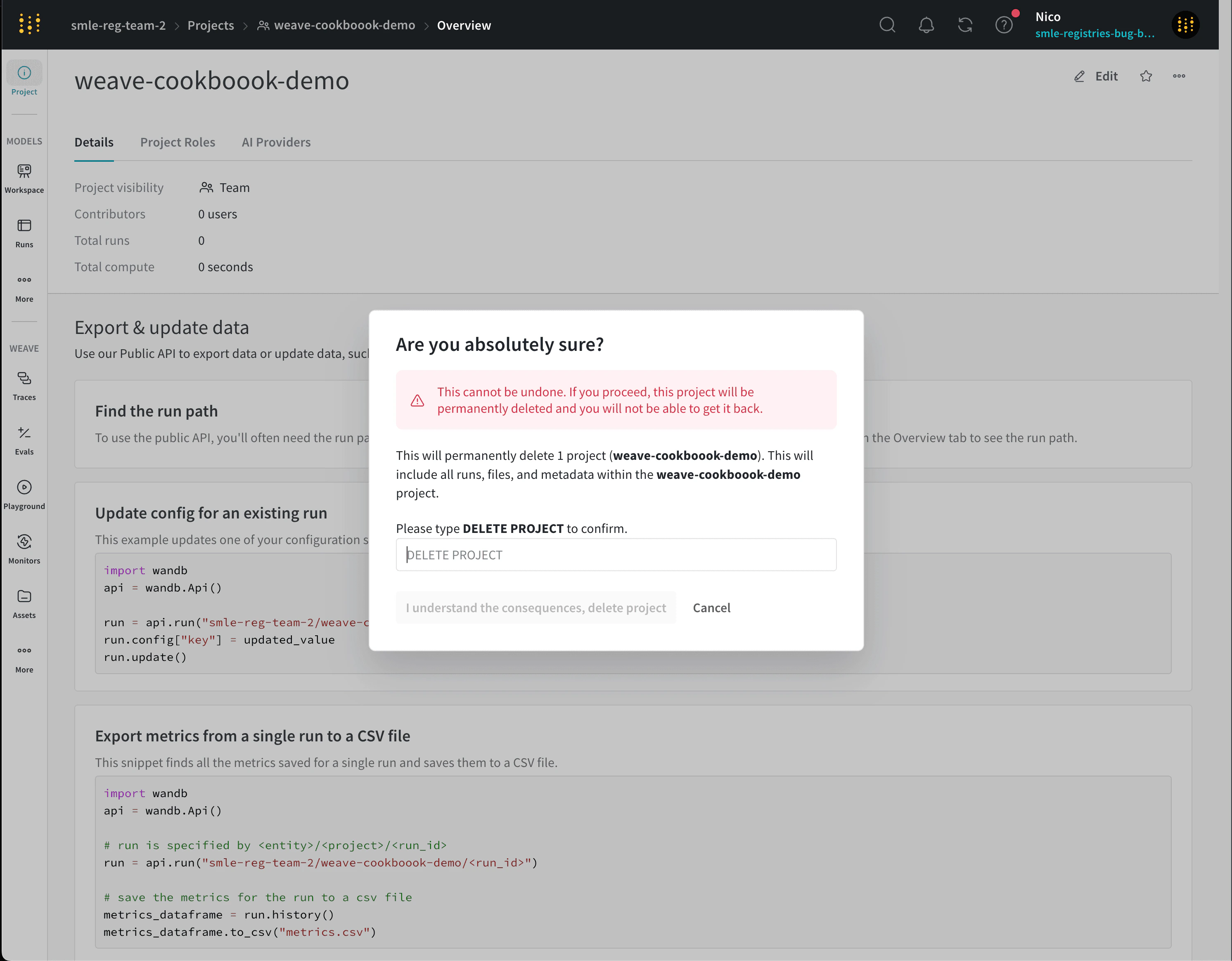 Project overview menu with delete project option in the dropdown